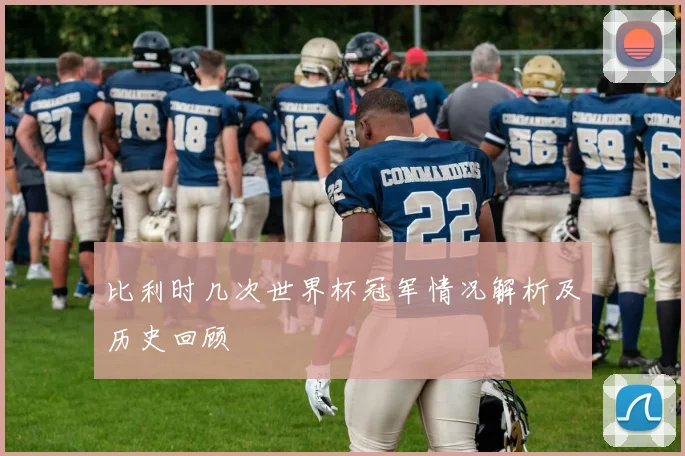 比利时几次世界杯冠军情况解析及历史回顾